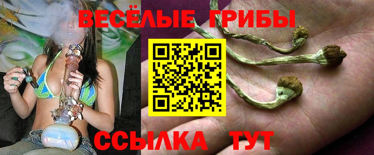 Новомосковск  Псилоцибиновые грибы мицелий  Вход с VPN 